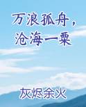 万浪孤舟，沧海一粟
